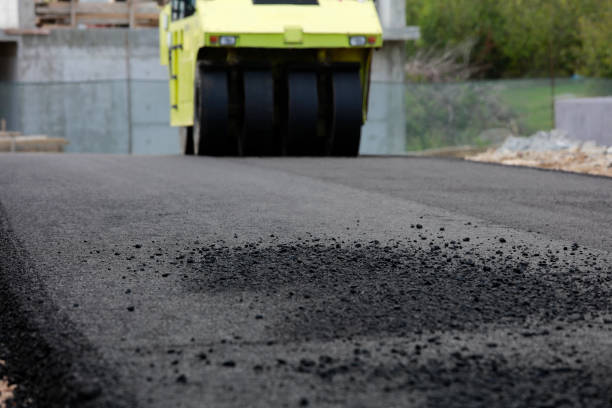 Best Local Driveway Pavers  in Dale City, VA